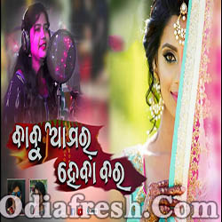 Babu Amar Heba Bara (Buddhadev,Natasha) Sambalpuri Song